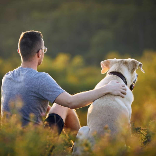 The healing power of owning a dog!